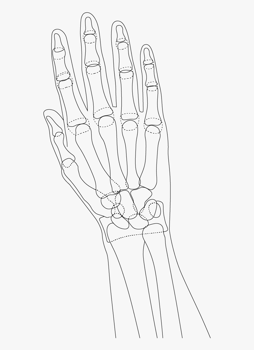 Sketch, HD Png Download