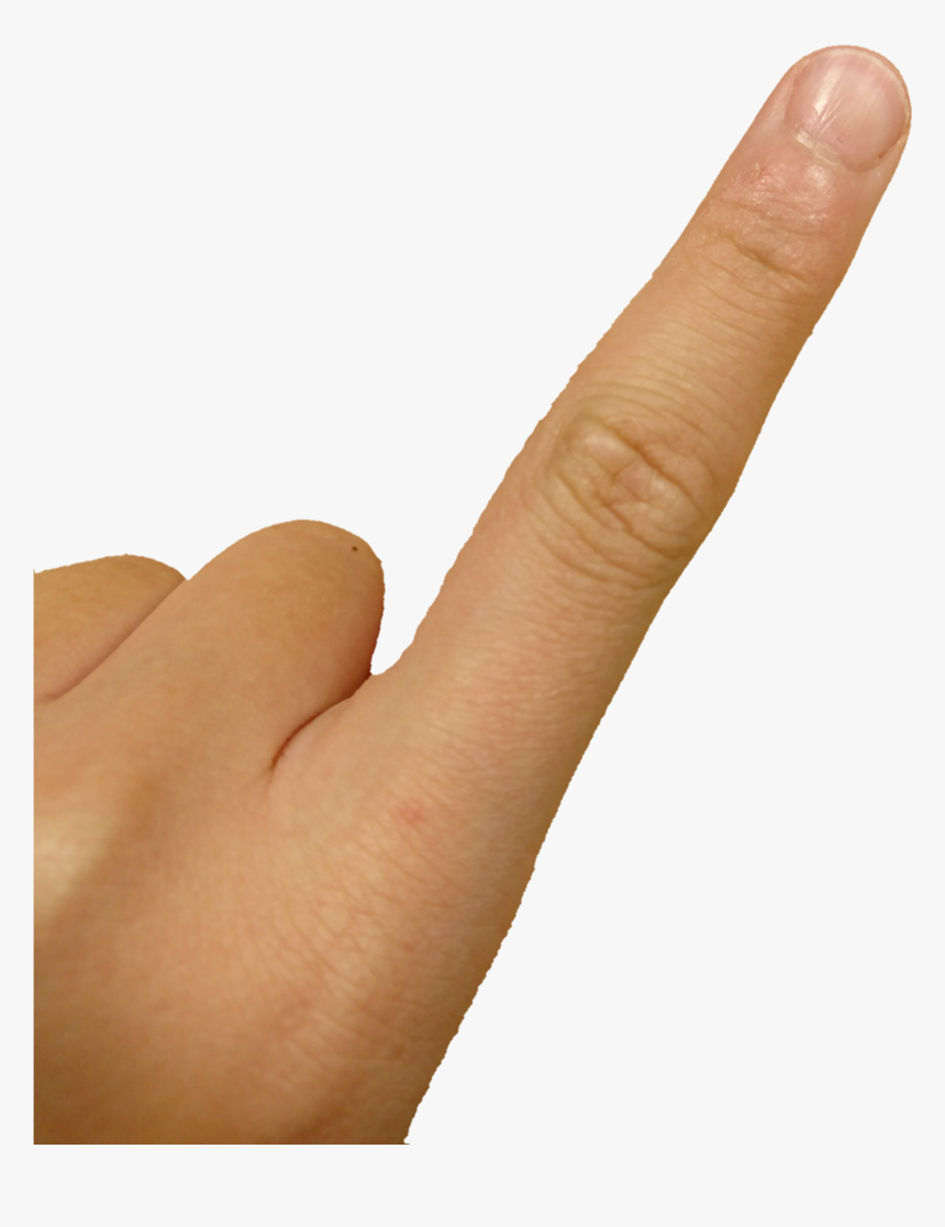 File - Dedo - Dedo Grande Da Mão, HD Png Download