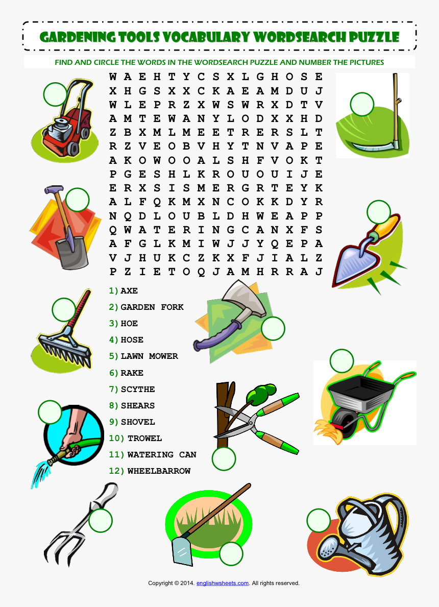 Us President Word Search Answer Key, HD Png Download