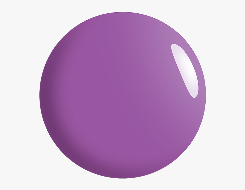 Circle, HD Png Download