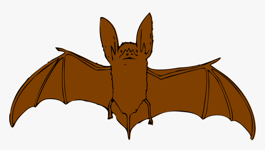 Bat, Flying, Animal, Brown - Bat Clip Art, HD Png Download