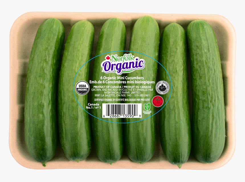 Organic Mini Cucumbers, HD Png Download