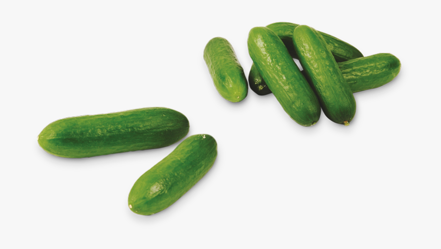 Snack Cucumbers - Mini Komkommers, HD Png Download