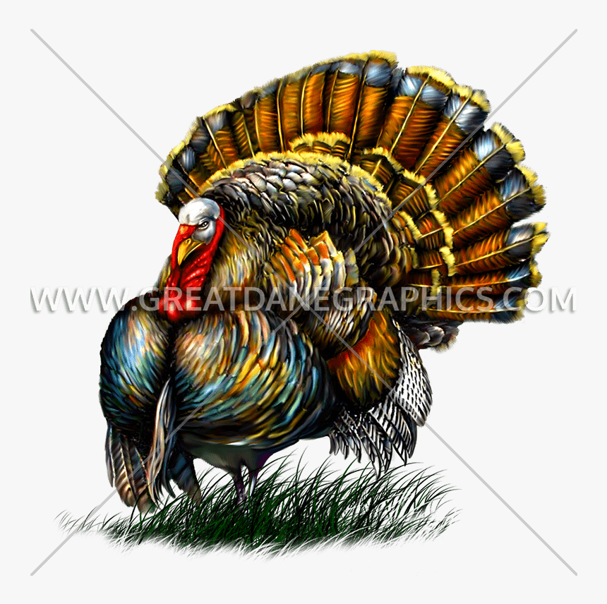 Illustration, HD Png Download