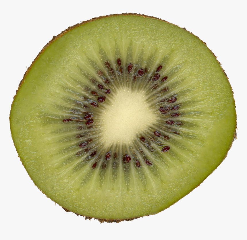Preview - Kiwi Slice, HD Png Download