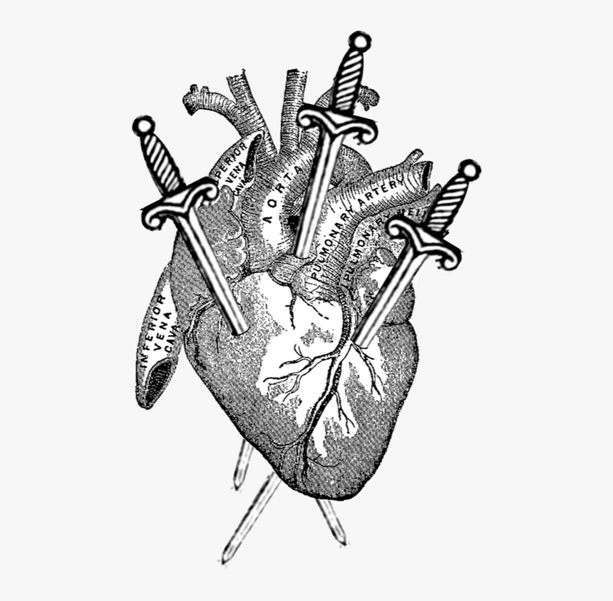 Picture - Take Care Of The Heart, HD Png Download