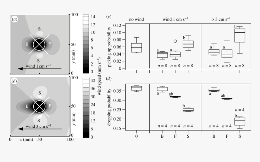 Diagram, HD Png Download