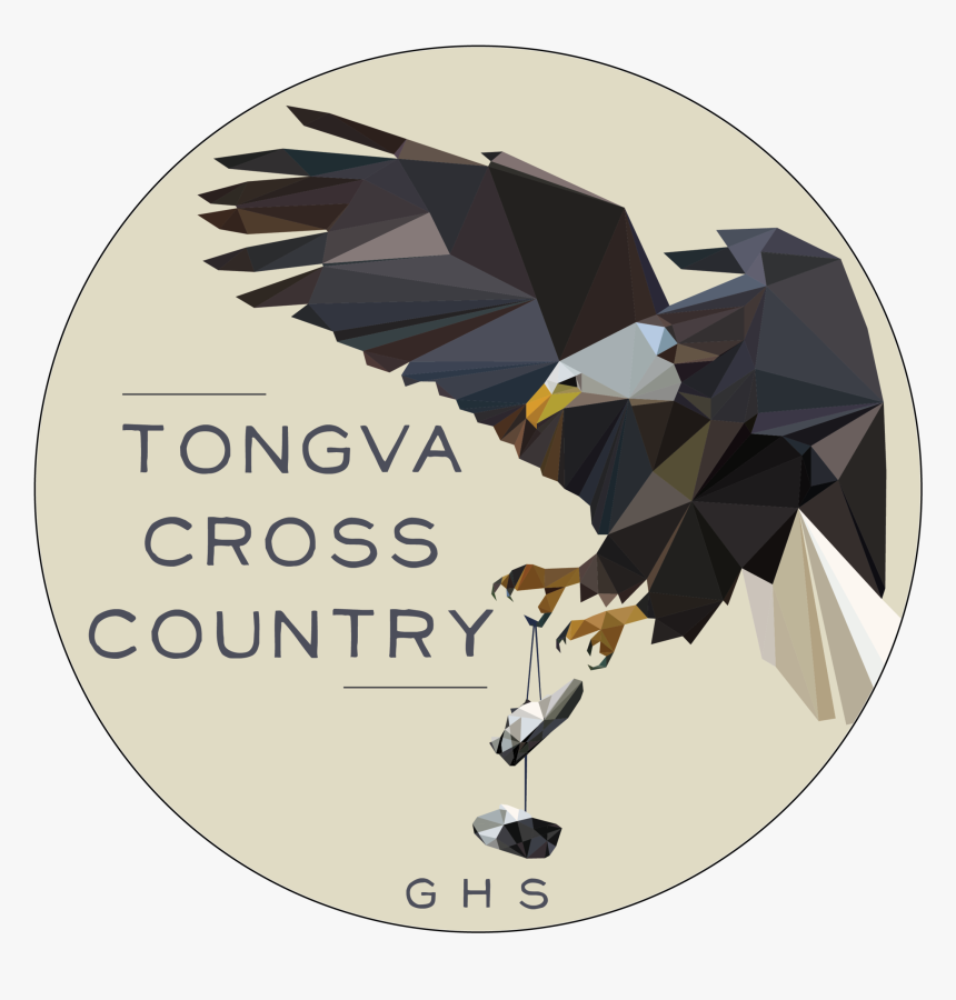 Eagle Illustration, HD Png Download