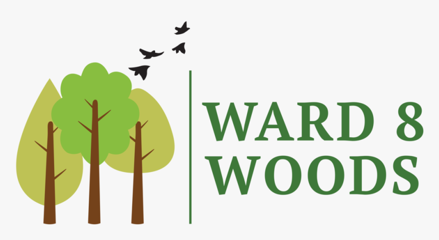 Ward 8 Woods Logo - Illustration, HD Png Download