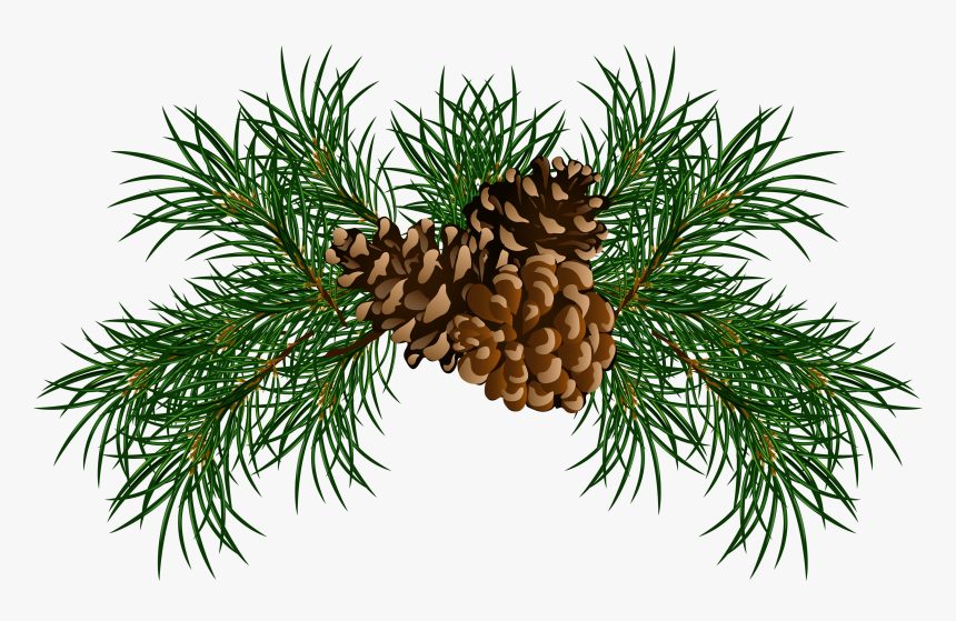 Christmas Pine Cone Png, Transparent Png