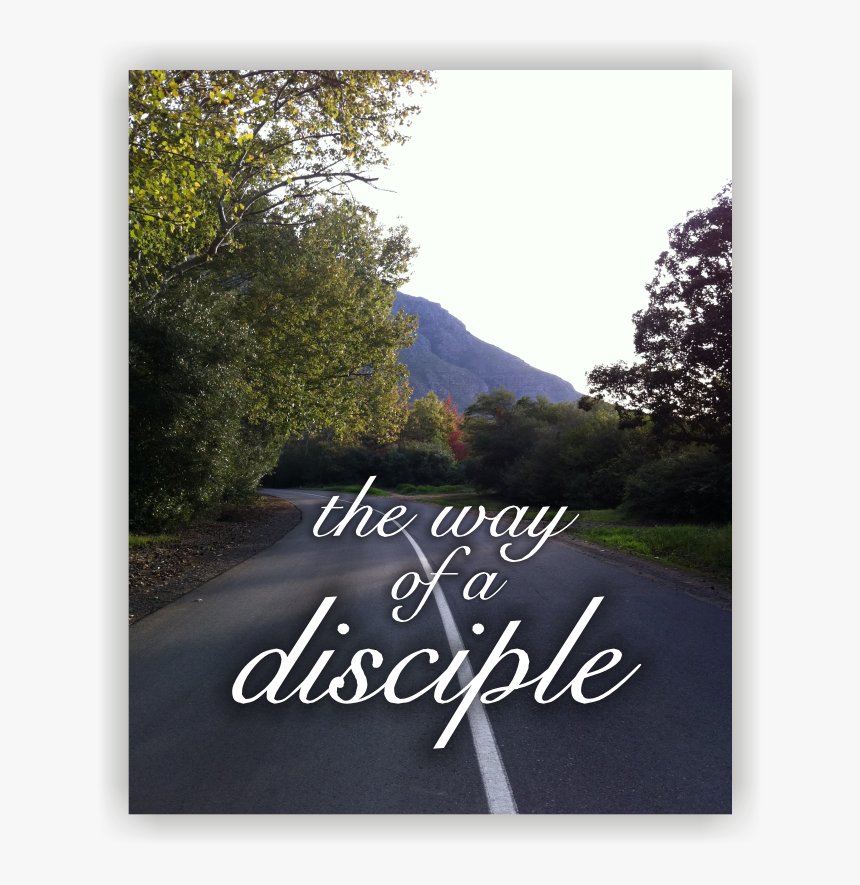 Balloons, HD Png Download