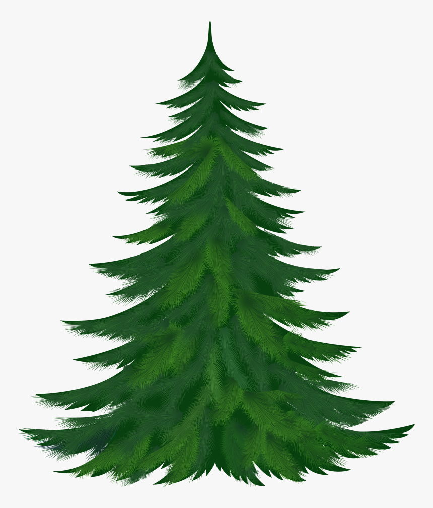 Christmas Tree Clipart Branches - Christmas Tree Images Download, HD Png Download