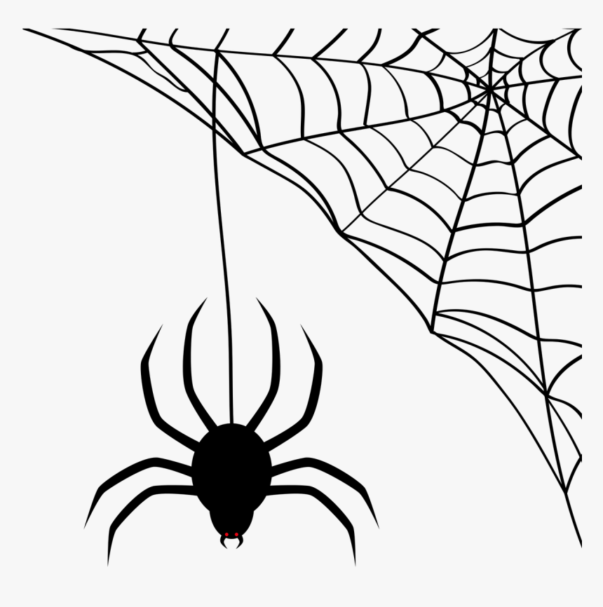 Teia De Aranha Png, Transparent Png