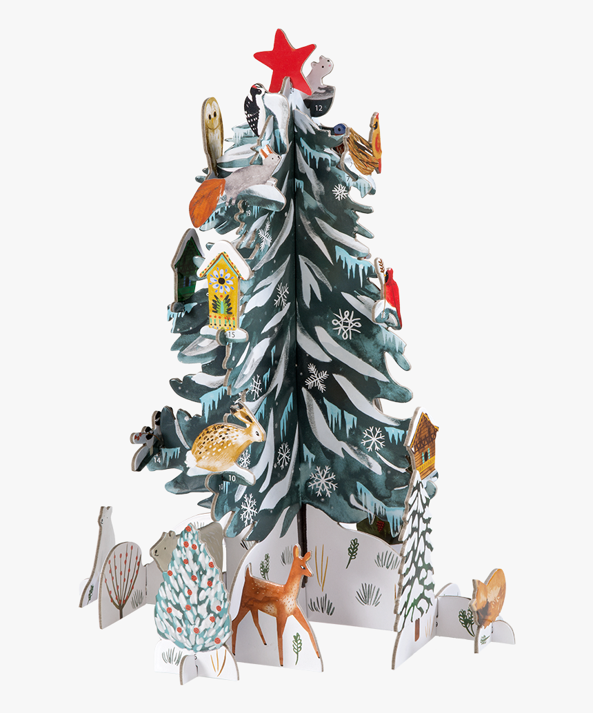 Advent Calendar Christmas Conifer, HD Png Download