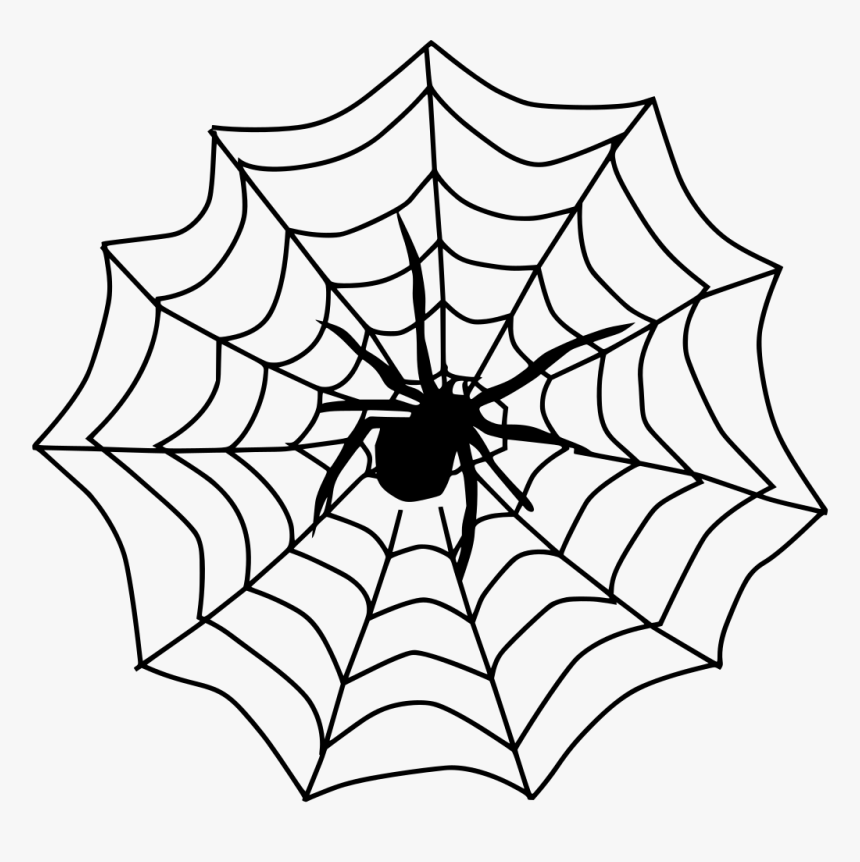 Spider Web, HD Png Download