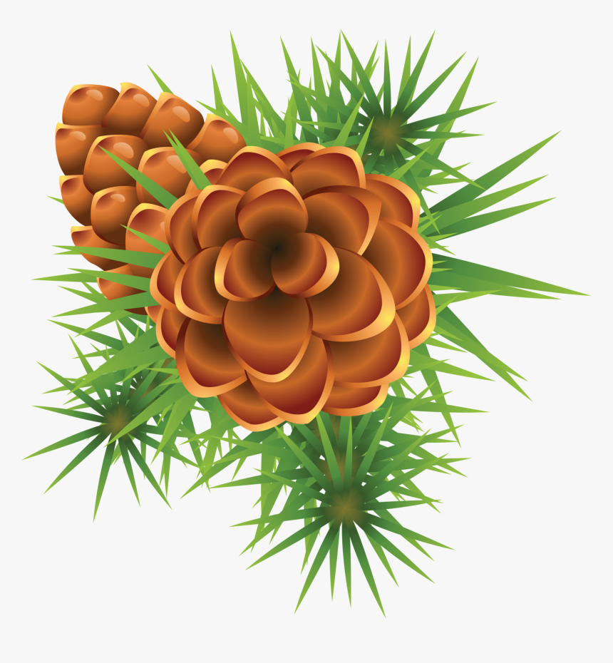 Fir Tree Png Transparent - Christmas Mistletoe Png, Png Download