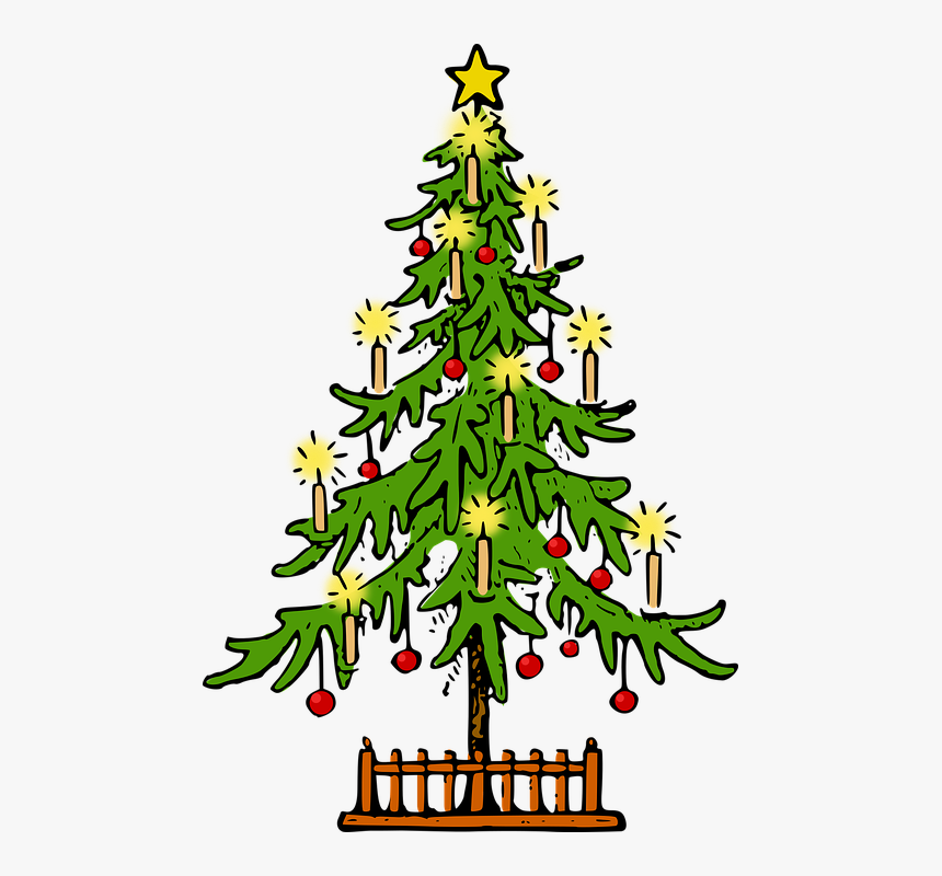 Christmas, Christmas Tree, Conifer, Fir, Holiday, Lutz - Christmas Tree Drawing, HD Png Download