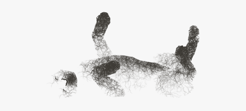 Sketch, HD Png Download