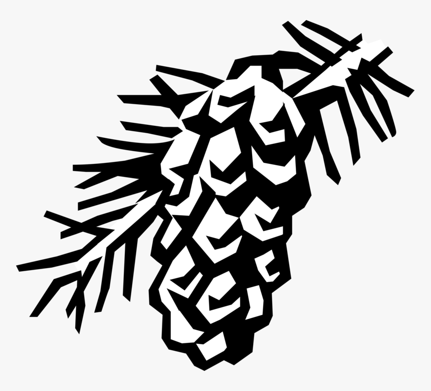 Vector Illustration Of Evergreen Spruce Bow With Conifer - Pine Cone, HD Png Download