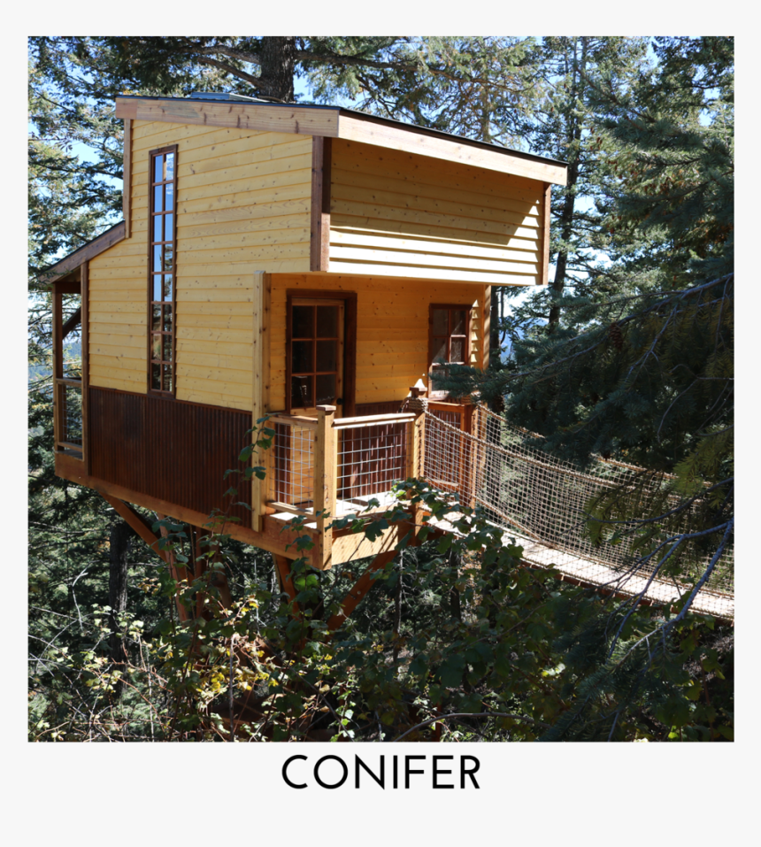 Conifer Square Title - Cottage, HD Png Download