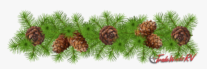 Pinecone Clipart Greens - Pinecone Garland Clipart, HD Png Download