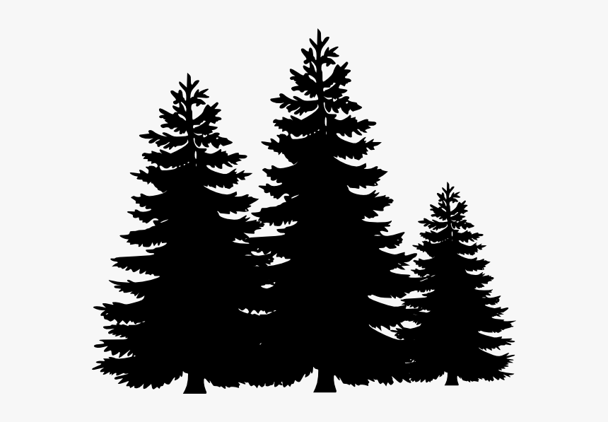Black And White Tree Clipart, HD Png Download