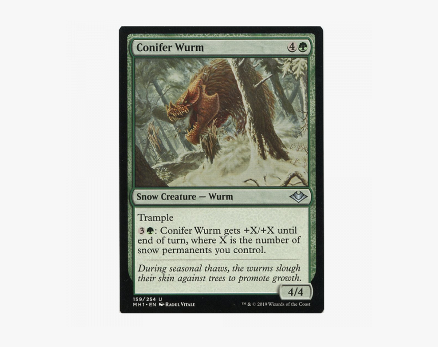 Conifer Wurm, HD Png Download