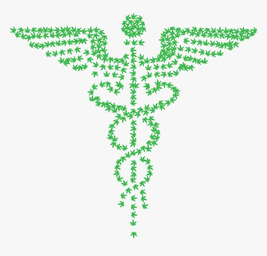 Massage And Cannabis - Physiotherapy Clinic Physiotherapy Symbol, HD Png Download
