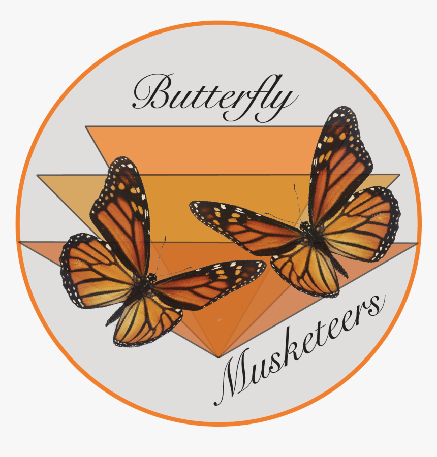The Butterfly Musketeers - Monarch Butterfly, HD Png Download