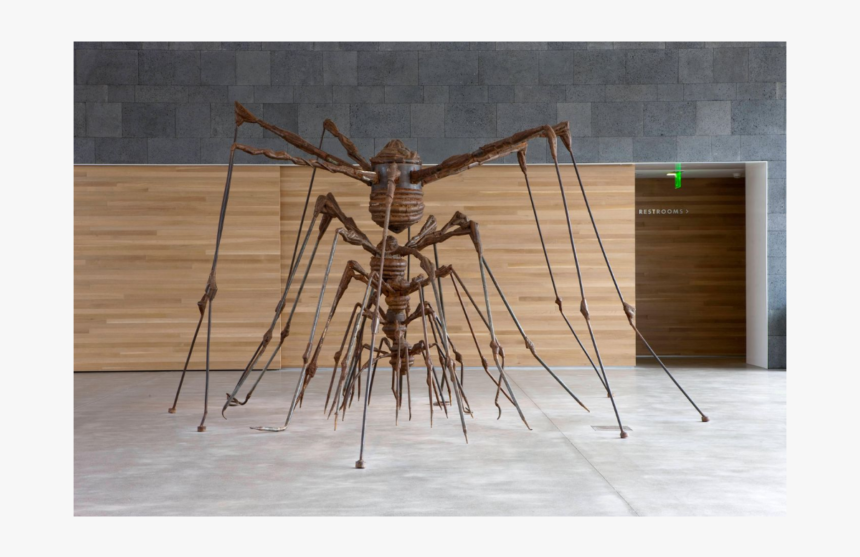 Cellar Spider Nest, HD Png Download
