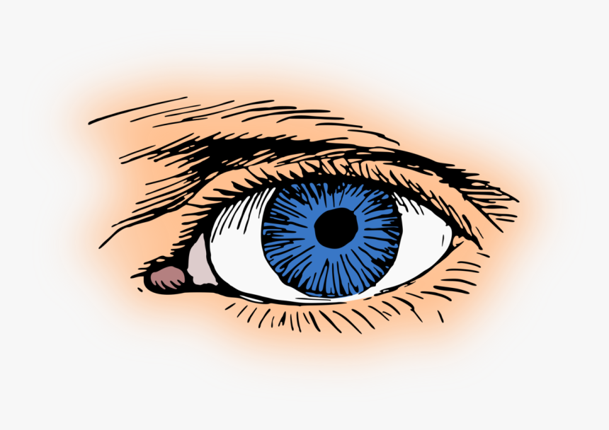 Iris,close Up,eye - Clip Art Eyes Blue, HD Png Download