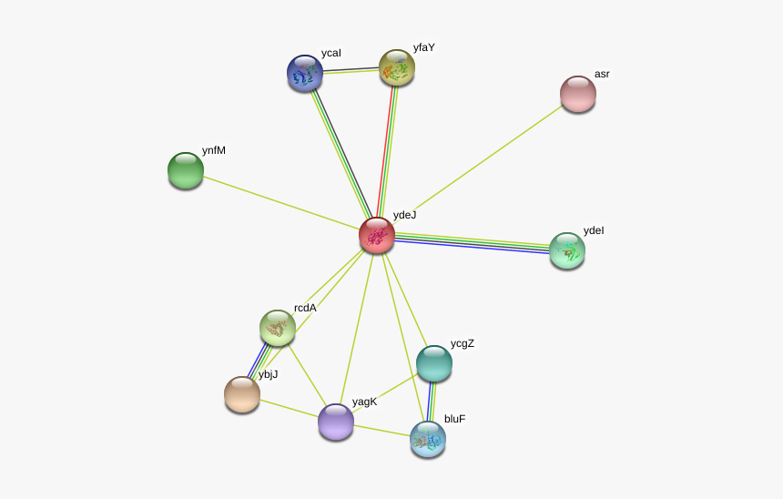 Ydej Protein - Circle, HD Png Download
