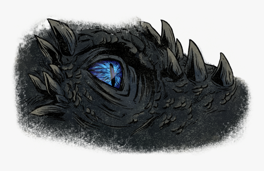 Viserion-eye - American Alligator, HD Png Download