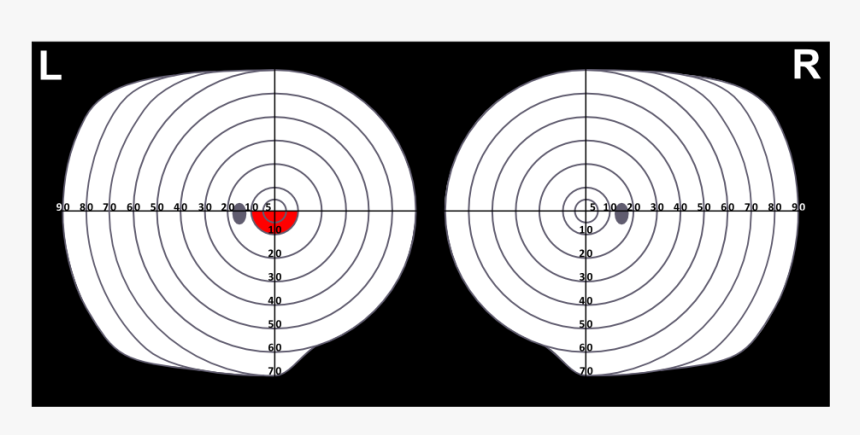 Circle, HD Png Download