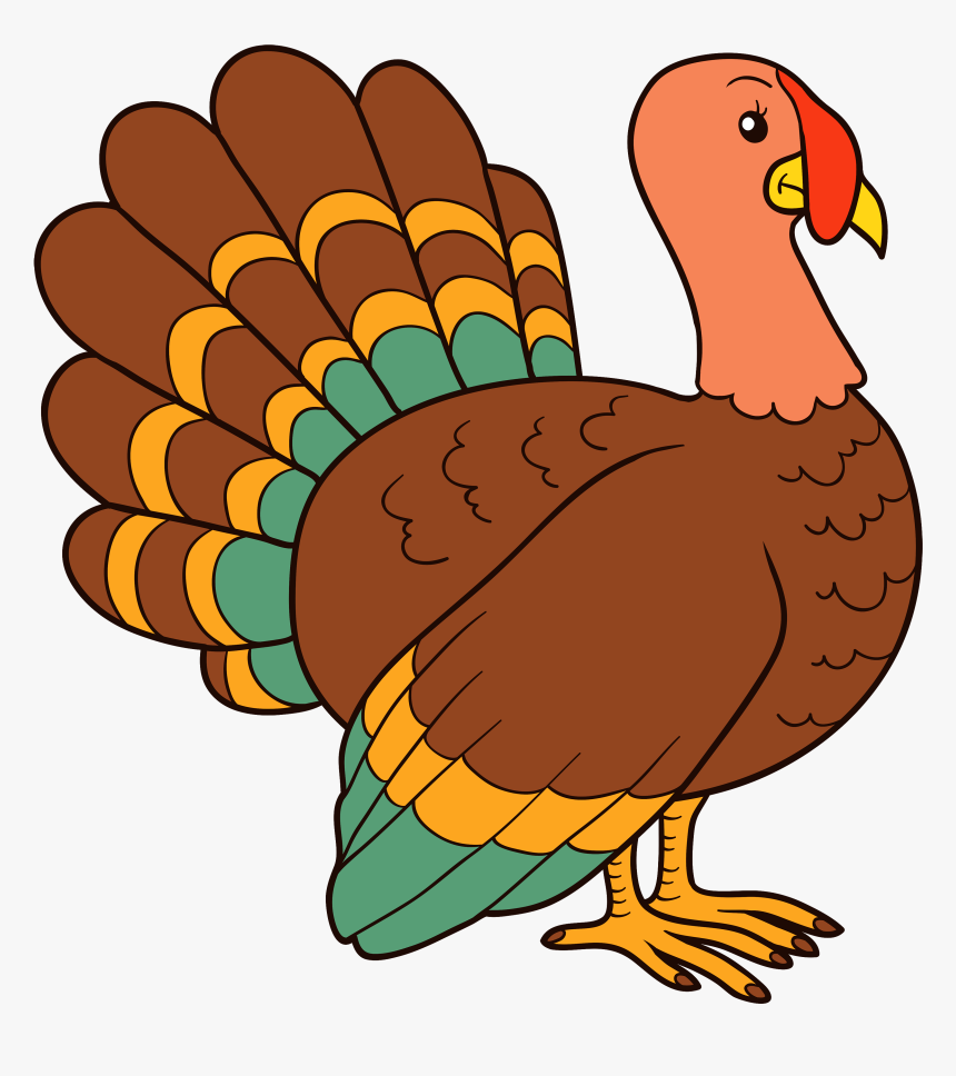 Picture Bdfjade High Resolution Turkey Wallpapers 5723648 - Turkey Clipart, HD Png Download