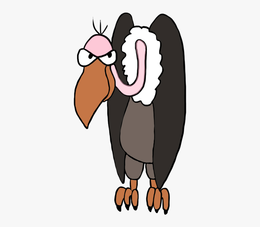 Vulture Clipart Turkey Vulture Vulture Clipart Transparent Background