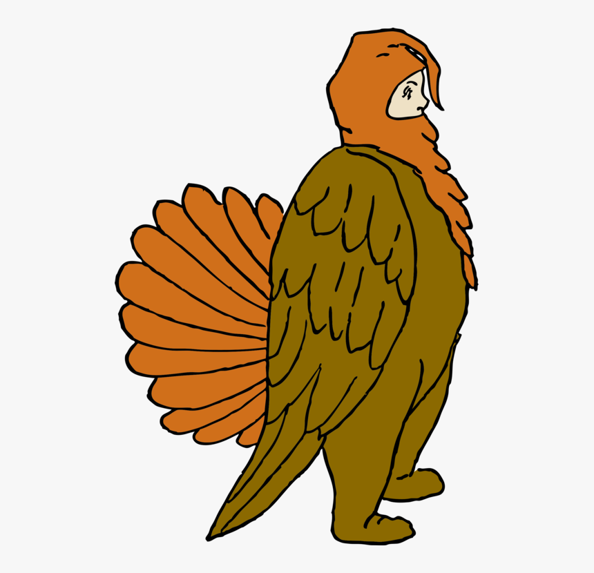 Transparent Turkey Cartoon Png - Pavo De Disfraces, Png Download