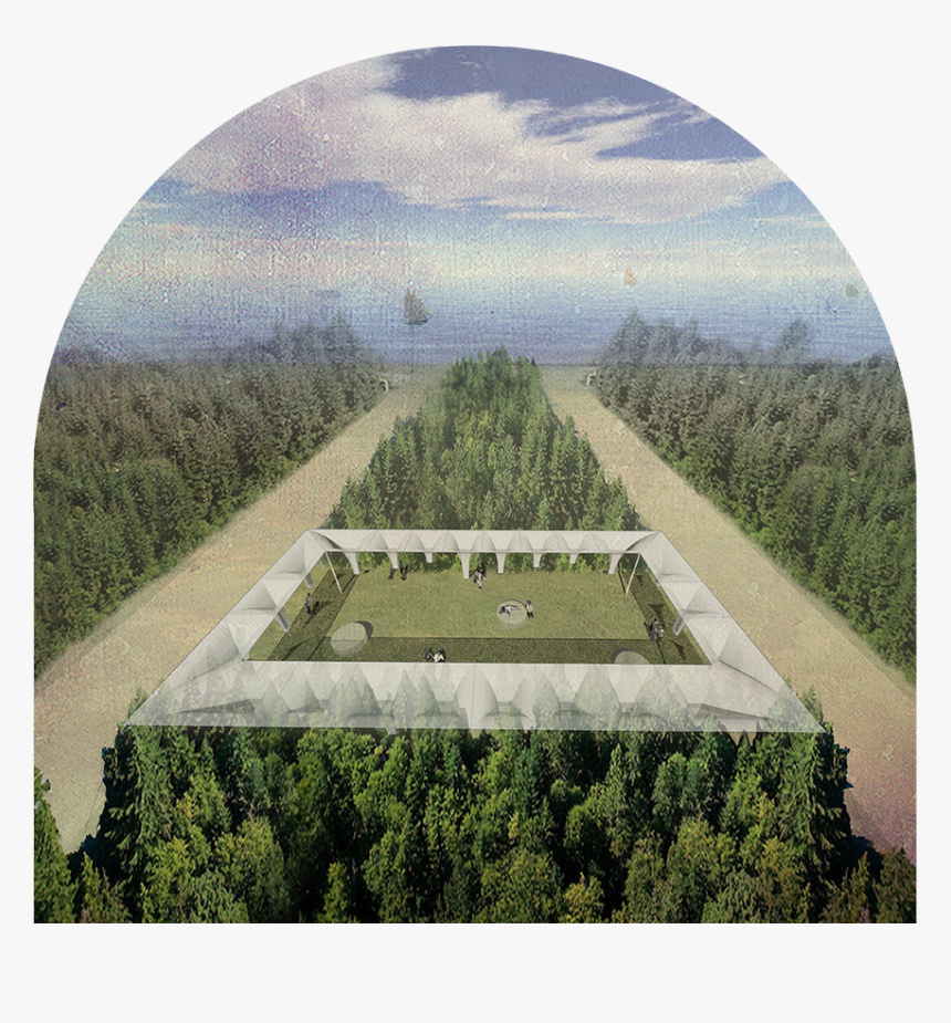 Overall View Of The Threshold Condition Of The Structure - Garden Of Displaced Roots, HD Png Download