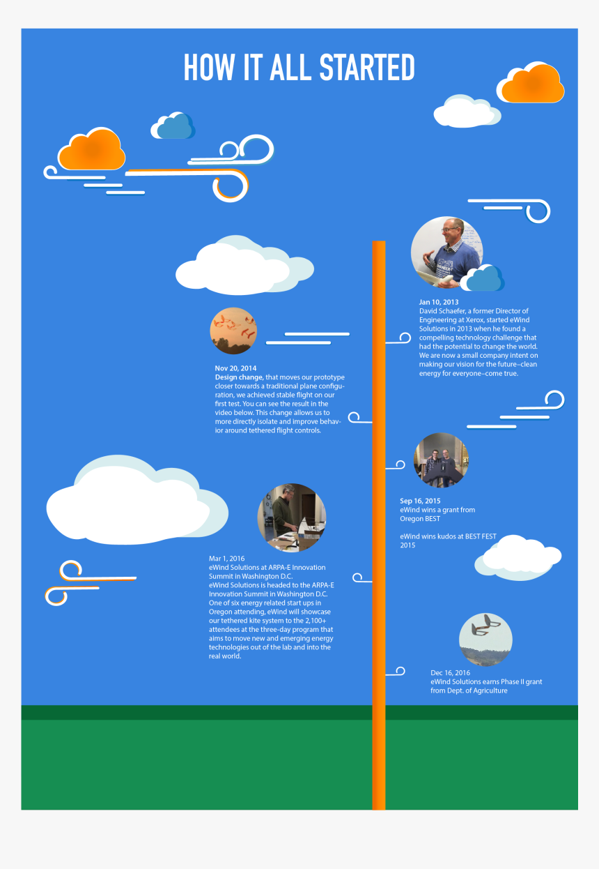 Jellyfish, HD Png Download