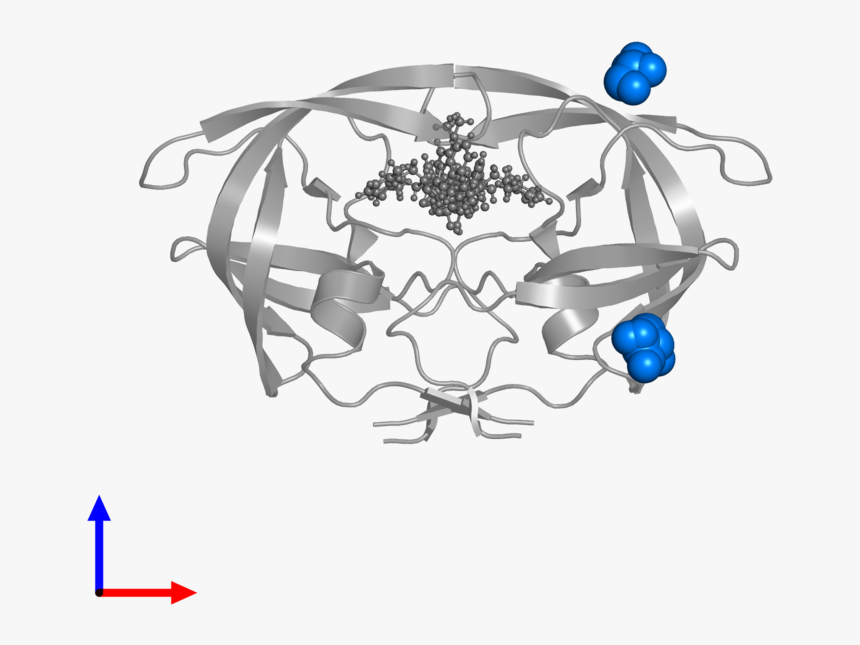 Hiv Protease, HD Png Download