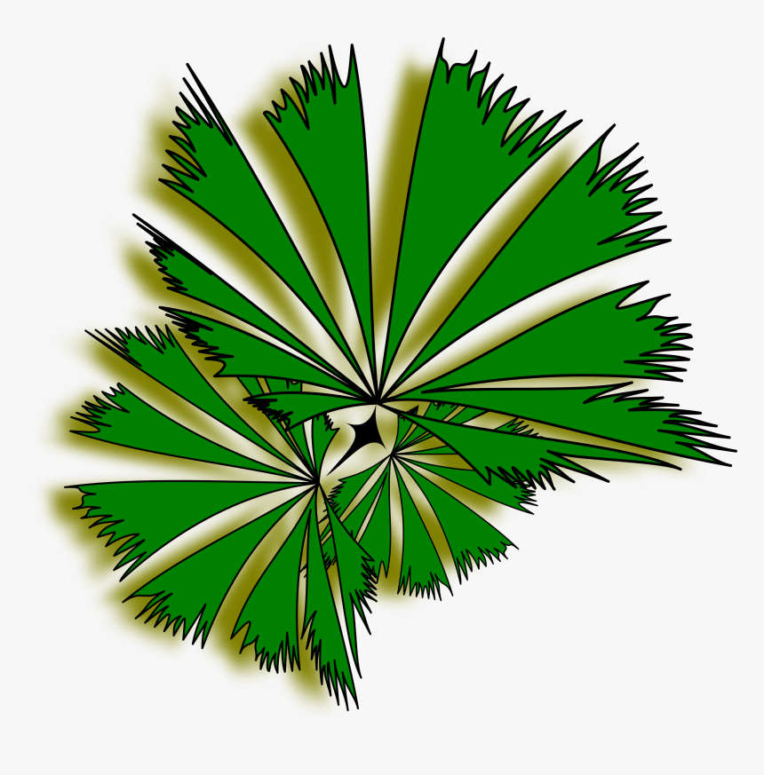 Planting Clipart Top View - Palms Top View Clipart, HD Png Download