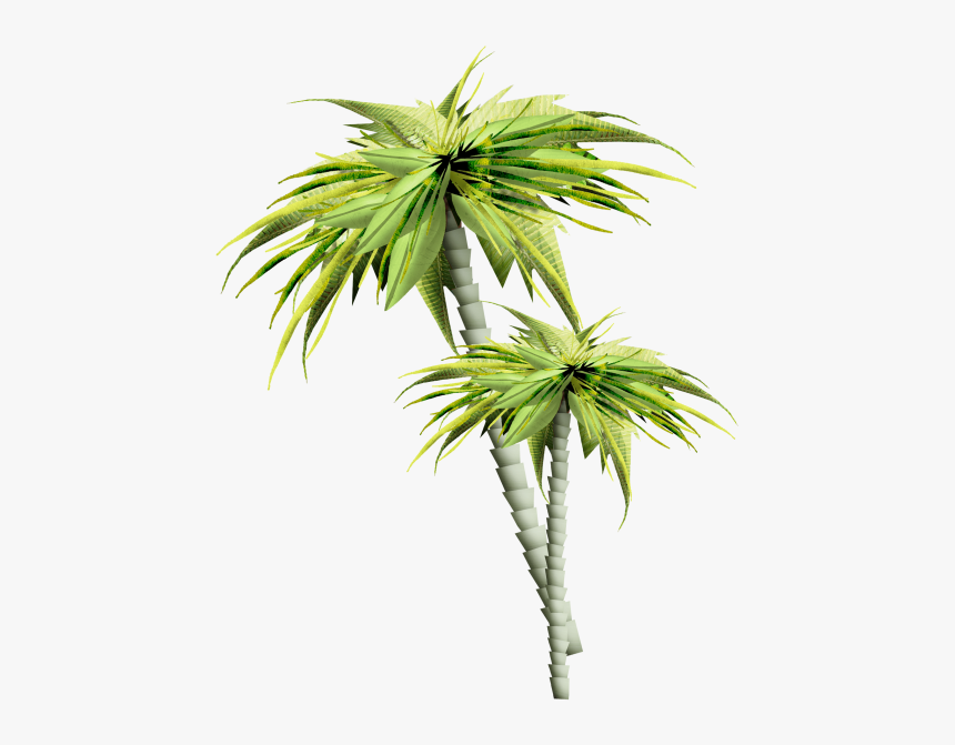 Asian Palmyra Palm Palm Trees Gif Portable Network - 14 August Good Morning, HD Png Download