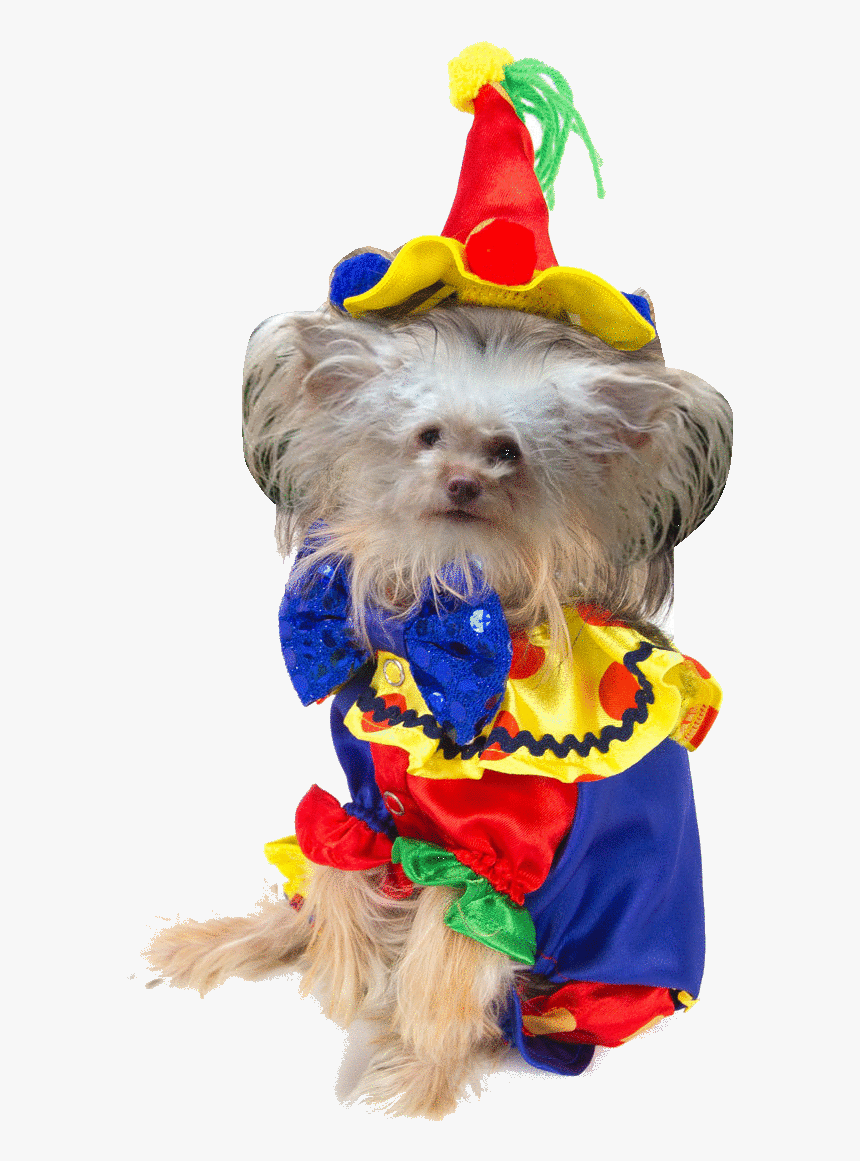 Transparent Taissa Farmiga Png - Toy Mi-ki, Png Download