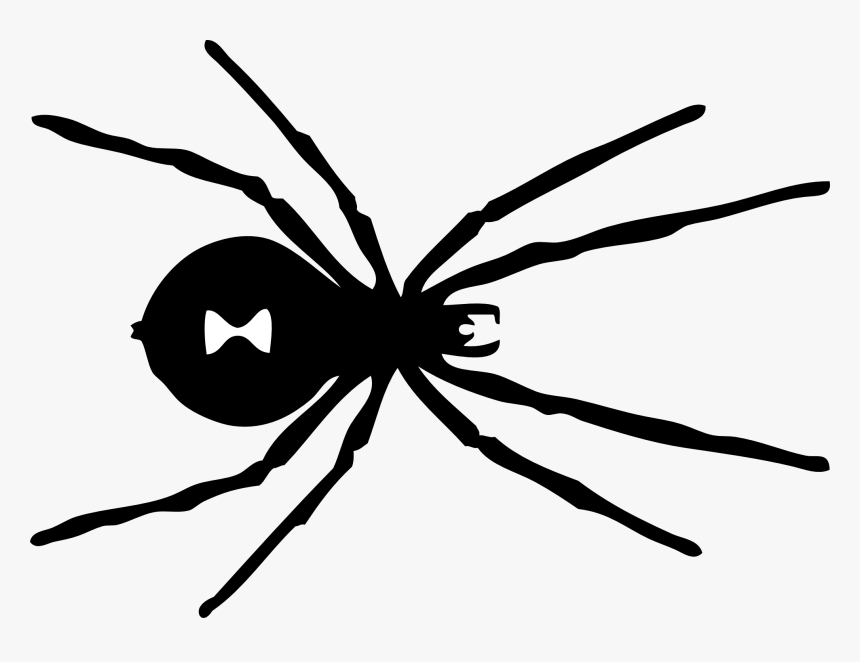Panda Free Images - Black Widow Spider Pattern, HD Png Download