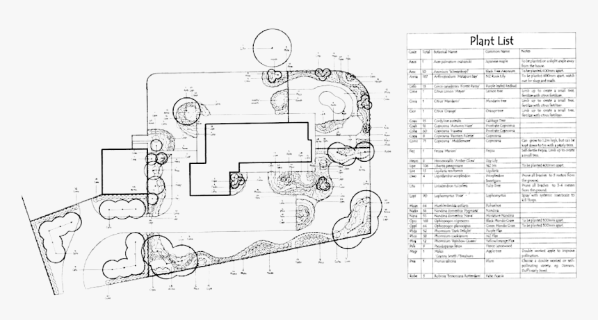 Landscaping - Planting Plan Schedule, HD Png Download