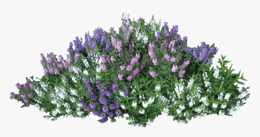 Transparent Flower Bush Png, Png Download