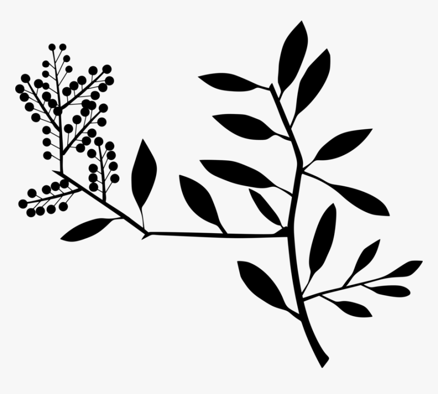 Plant,flora,leaf - Clip Art, HD Png Download