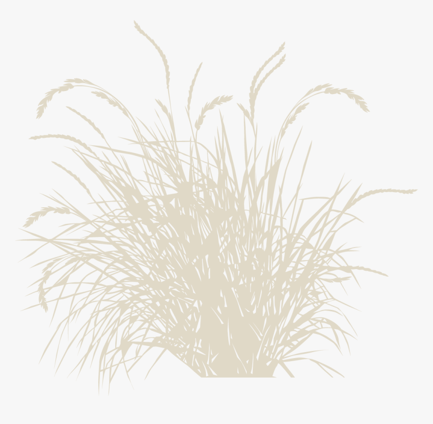 Vector, HD Png Download