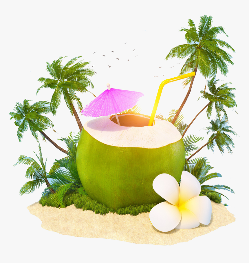 Transparent Coconut Png - World Coconut Day 2019, Png Download
