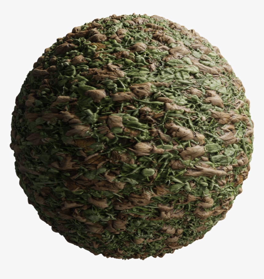 Circle, HD Png Download